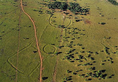  「Quella」：古代ブラジルの神秘と知恵を語る物語！