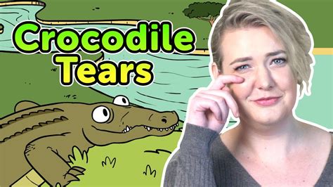  「The Crocodile Who Cried Tears」: 悲しみの涙と友情の物語！