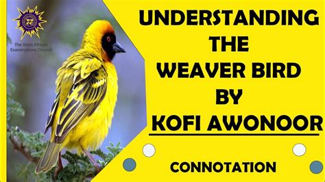  「The Weaver Bird」: 8 世紀のコロンビアの民話、人間の欲と運命について語ります！