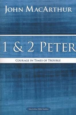  「Peter」: 勇気と愛の物語、そして謎の3世紀ドイツ！